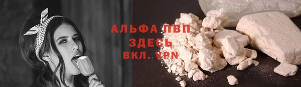 СК Алзамай